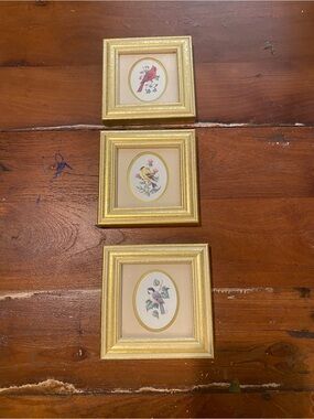 Gold Framed Bird Prints by Kathy Seeks